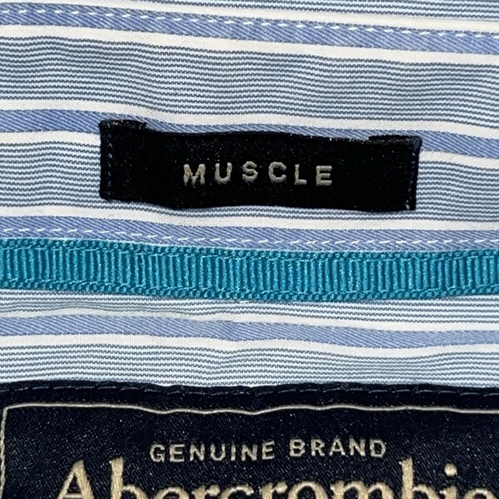 Abercrombie Fitch Mens Blue‎ White Stripe Muscle Fit Button Down Shirt L Moose - Picture 7 of 9